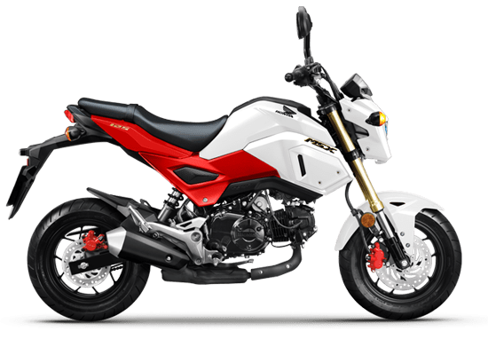 Honda Grom 2020 MSX 125 sẽ có thiết kế mới giống Monkey  Motosaigon